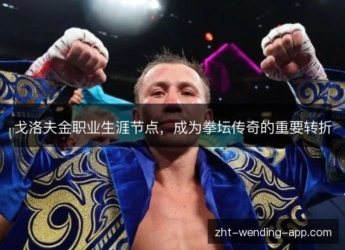 戈洛夫金职业生涯节点，成为拳坛传奇的重要转折
